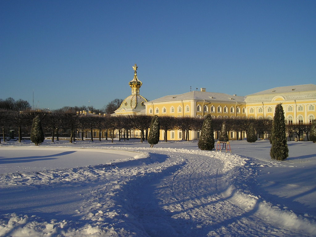 Двор петра. Петергоф в Санкт-Петербурге зима ночь. Новогодний Петергоф. Новогодний Петродворец. Петергоф зимой новогодний.